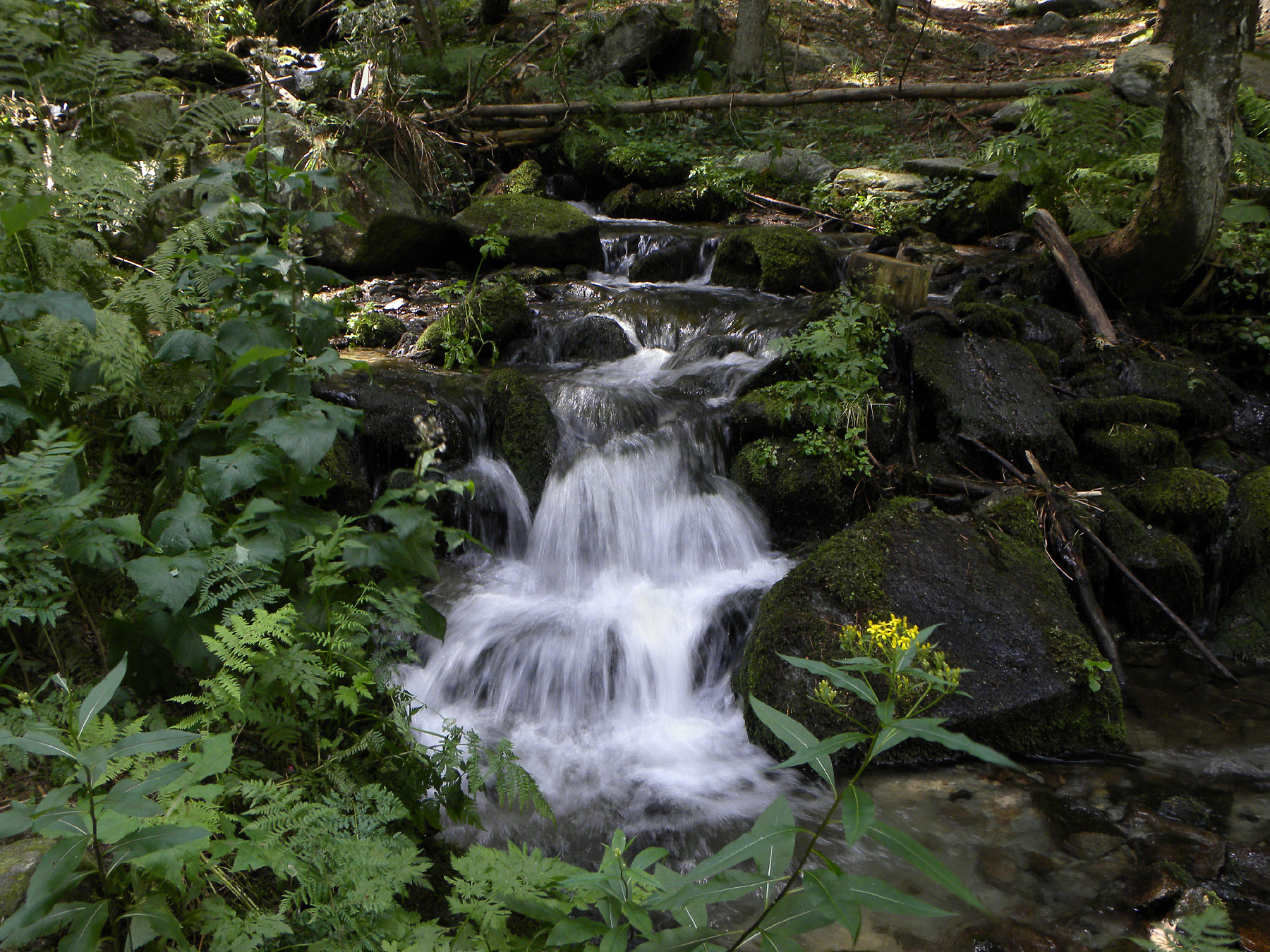 Weichselboden